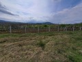 Продава ПАРЦЕЛ, област Бургас, гр. Царево • 59000 € • 51000107 — Holmes.bg