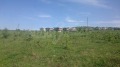 Продава  Парцел област Велико Търново , с. Малки чифлик , 6693 кв.м | 96843416 - изображение [3]