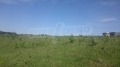 Продава  Парцел област Велико Търново , с. Малки чифлик , 6693 кв.м | 96843416 - изображение [4]