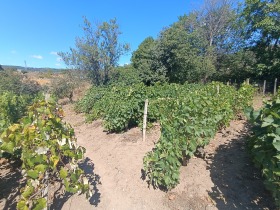 Spiknutí Vinica, Varna 11