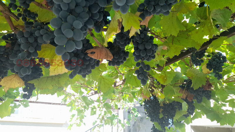 Продава КЪЩА, с. Зимница, област Стара Загора, снимка 11 - Къщи - 52781732