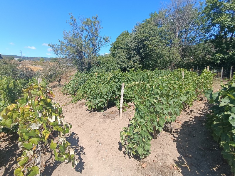 Eladó  Cselekmény Varna , Vinica , 1355 négyzetméter | 52850515 - kép [11]