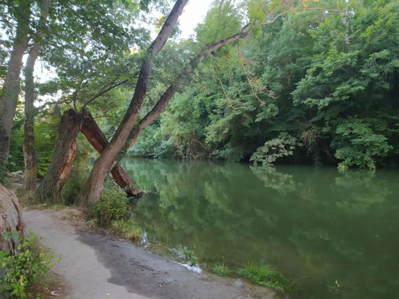 Продава ПАРЦЕЛ | Imot.bg — изображение 3