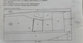 ������ ������� ������