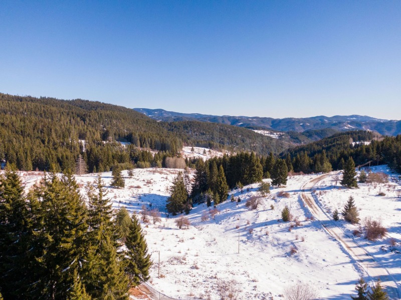 Till salu  1 sovrum region Smolyan , k.k. Pamporovo , 96 kvm | 14249005 - bild [16]