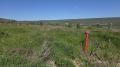 Продава ПАРЦЕЛ, област Добрич, с. Рогачево • 59990 € • 37413000 — Holmes.bg