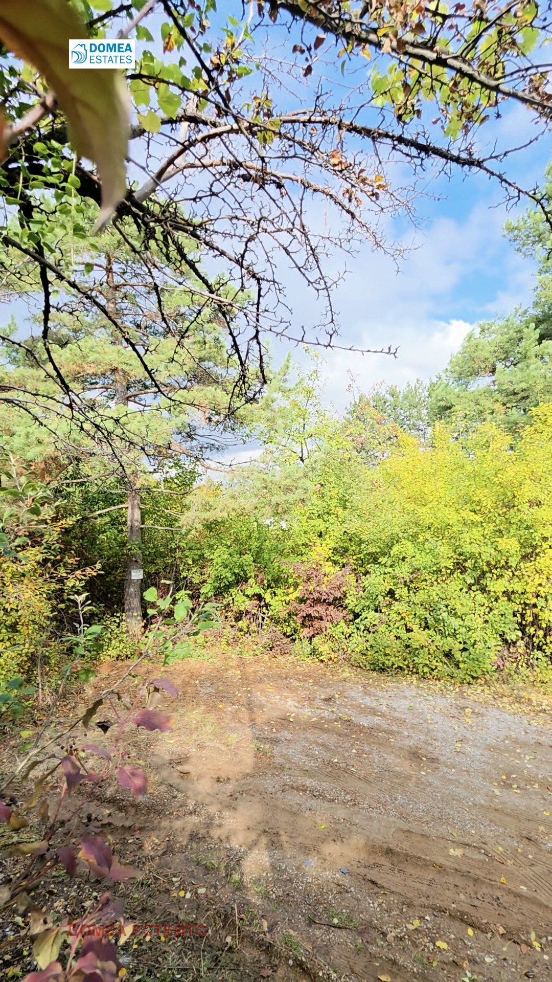 Продава ПАРЦЕЛ | Imot.bg — изображение 1