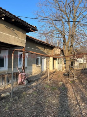 ����� ������� ����,�. ����������, ������ ����