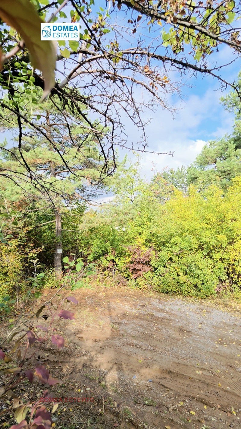 Продава ПАРЦЕЛ, град София, с. Панчарево • 230000 € / 449840.90 лв. • 53866656 1