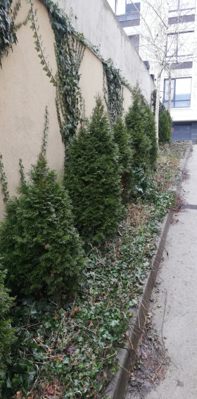 3-СТАЕН, 121 m2