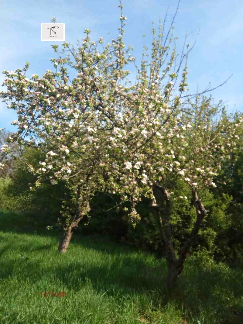 In vendita  Casa regione Sofia , Gurmazovo , 86 mq | 54057191 - Immagine [12]