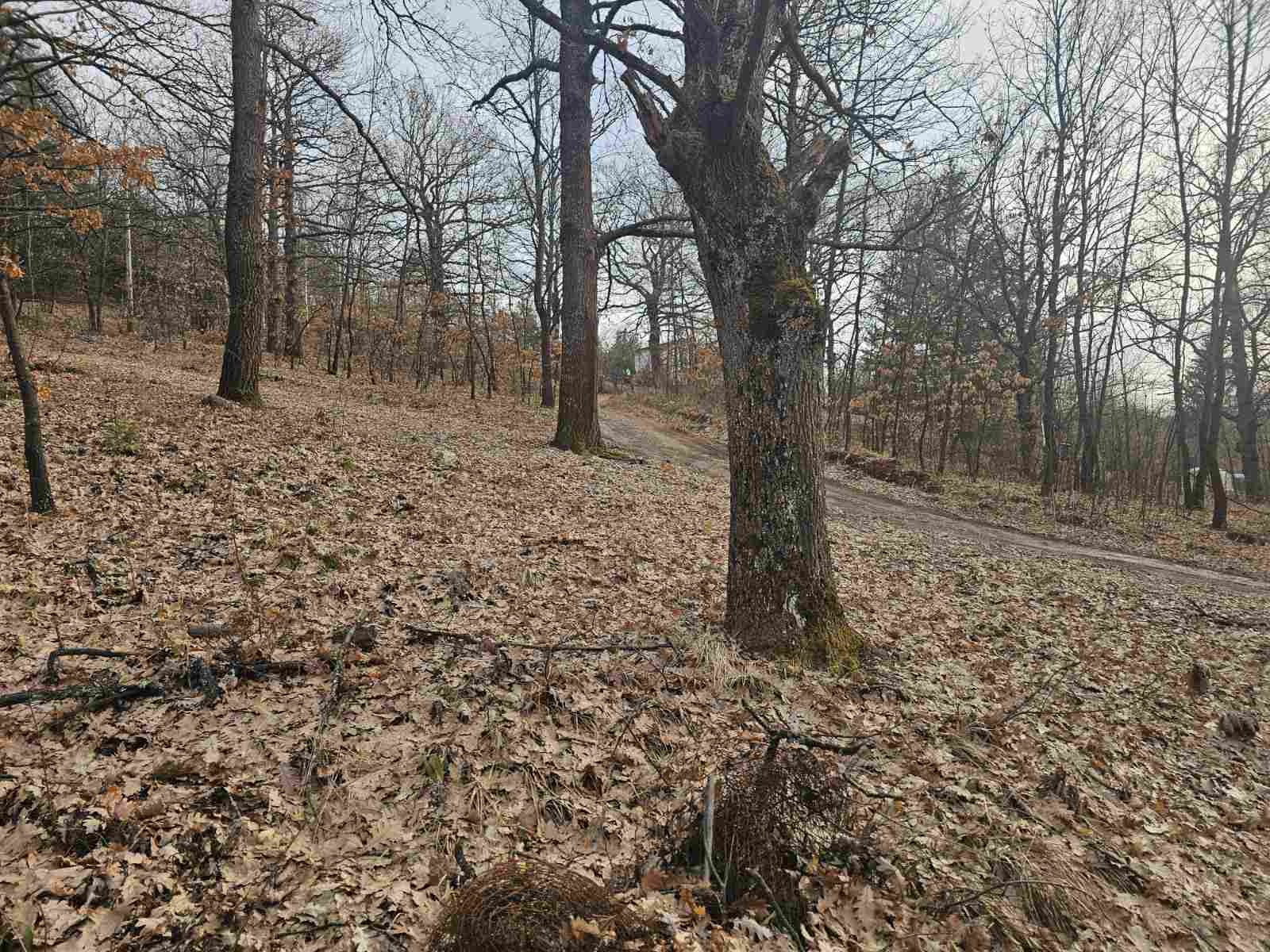 Продава ВИЛА, с. Царичина, област София област, снимка 10 - Вили - 54186969