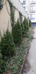 Продава 3-СТАЕН, гр. София, Манастирски ливади, снимка 1