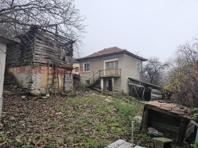 ����� ������� ����,��. �������� ����, ������ ���������