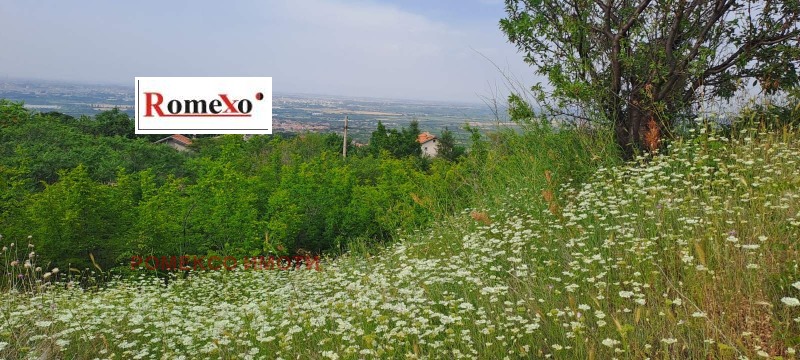 Продава  Парцел област Пловдив , с. Белащица , 600 кв.м | 61724960