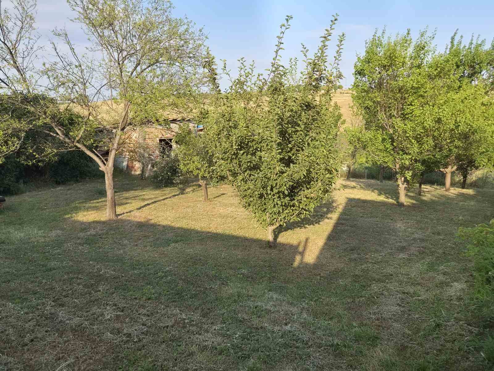 Продава ПАРЦЕЛ, с. Гривица, област Плевен, снимка 3 - Парцели - 55657367