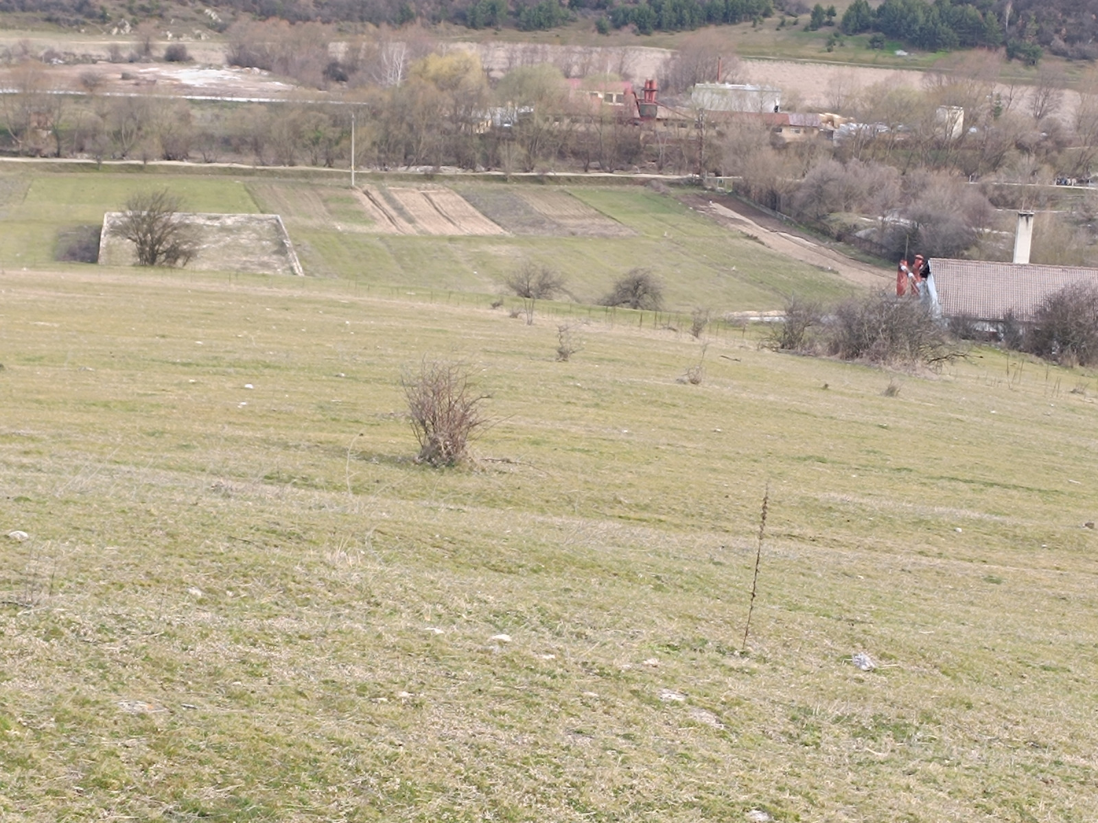 Продава ЗЕМЕДЕЛСКА ЗЕМЯ, с. Драгиново, област Пазарджик, снимка 4 - Земеделска земя - 53777061