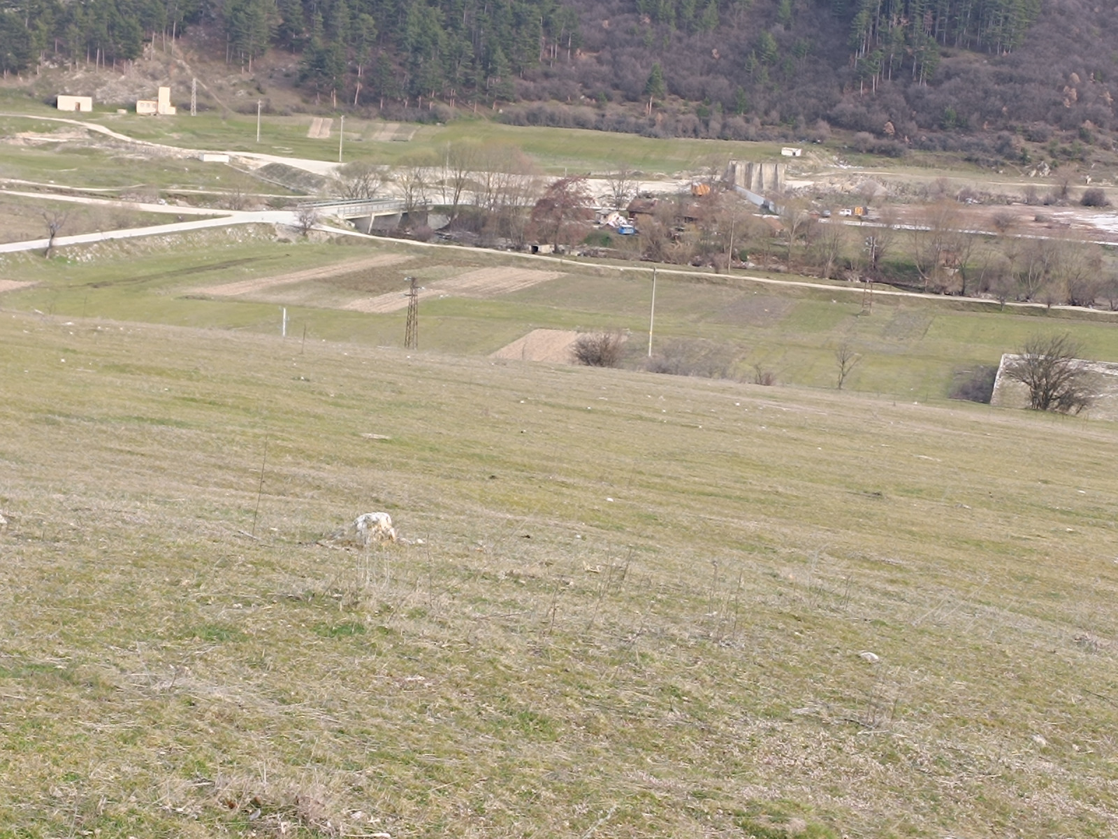 Продава ЗЕМЕДЕЛСКА ЗЕМЯ, с. Драгиново, област Пазарджик, снимка 7 - Земеделска земя - 53777061