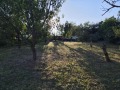 Продава ПАРЦЕЛ, с. Гривица, област Плевен, снимка 6