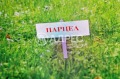 Продава  Парцел град София , с. Мрамор , 16000 кв.м | 93536879