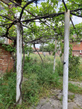 Продава КЪЩА, с. Стряма, област Пловдив, снимка 9