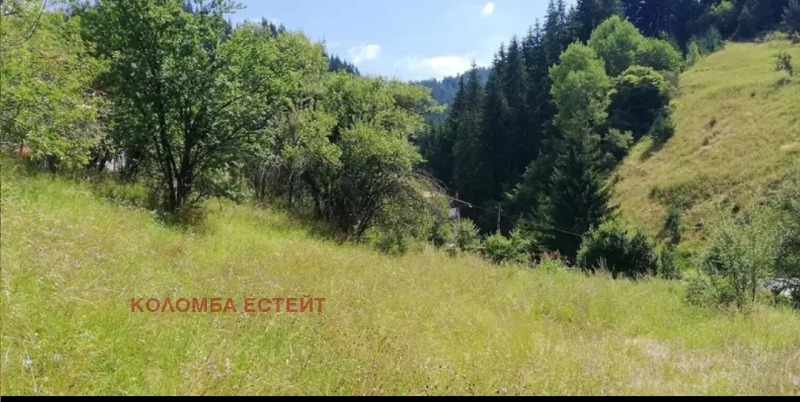 Продава ПАРЦЕЛ, област Смолян, гр. Чепеларе • 73550 € / 143851.30 лв. • 45033928 1