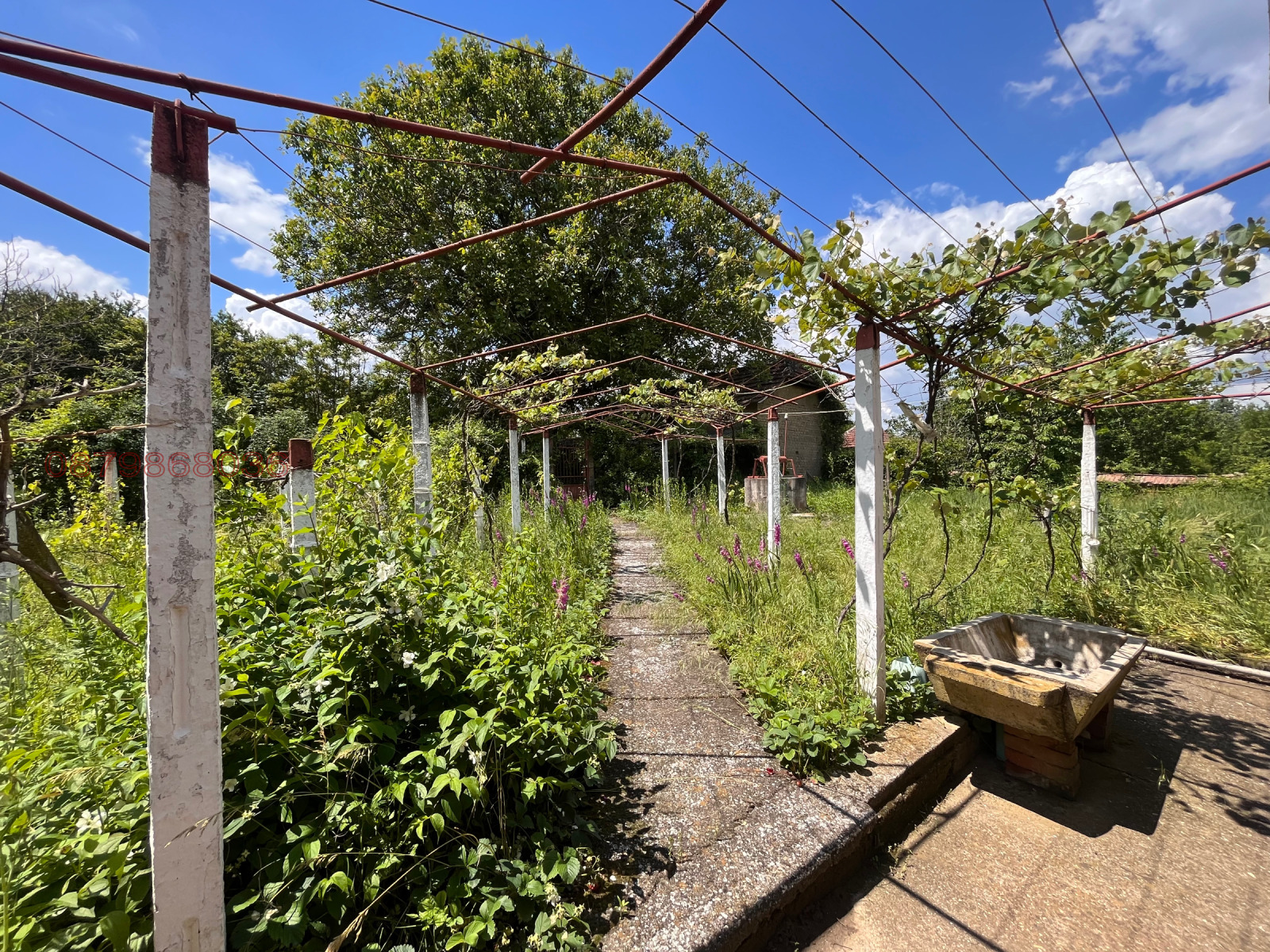 Продава КЪЩА, с. Малорад, област Враца, снимка 4 - Къщи - 53744743