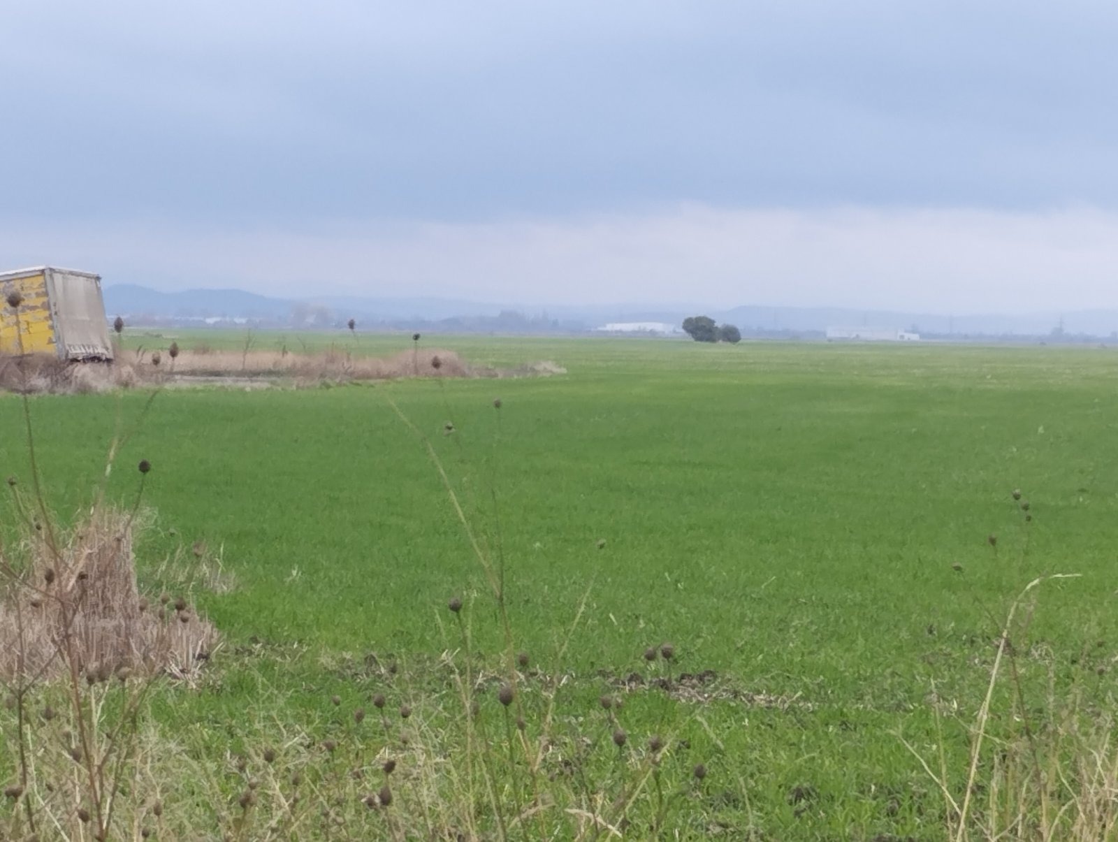 Продава ПАРЦЕЛ, с. Равно поле, област София област, снимка 2 - Парцели - 53647628