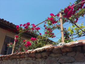 ������� ���� | Imot.bg � ����� ������ 4