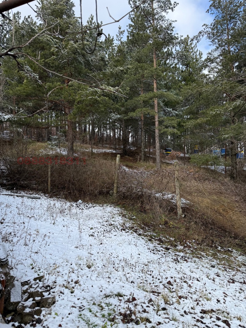 Продава КЪЩА, гр. София, гр. Банкя, снимка 7 - Къщи - 53534870