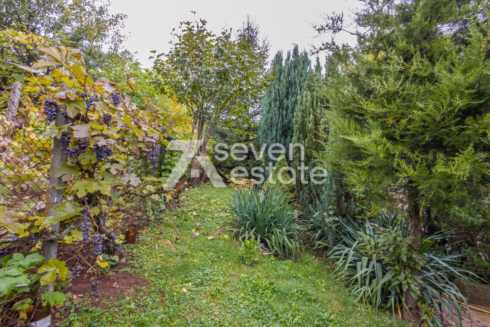 Продава КЪЩА, гр. Перник, Ралица, снимка 5 - Къщи - 56627414