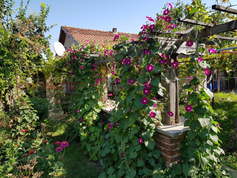 Продава КЪЩА, гр. Дулово, област Силистра, снимка 5 - Къщи - 52783099