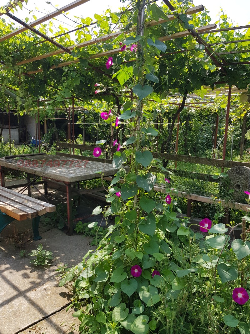 Продава КЪЩА, гр. Дулово, област Силистра, снимка 6 - Къщи - 52783099