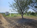 Продава ПАРЦЕЛ, гр. Бургас, Сарафово, снимка 3