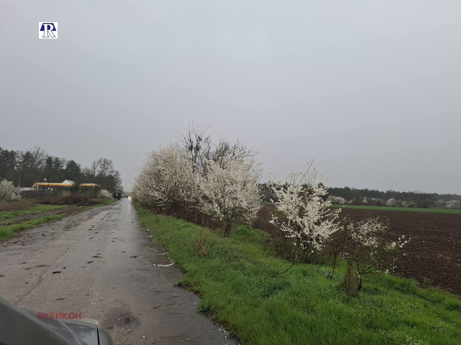 Продава ПАРЦЕЛ, с. Горни Дъбник, област Плевен, снимка 2 - Парцели - 54306165