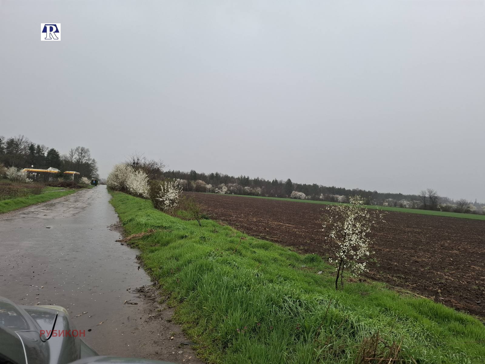 Продава ПАРЦЕЛ, с. Горни Дъбник, област Плевен, снимка 5 - Парцели - 54306165