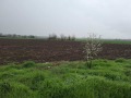 Продава ПАРЦЕЛ, с. Горни Дъбник, област Плевен, снимка 3