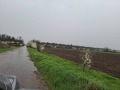 Продава  Парцел област Плевен , с. Горни Дъбник , 16359 кв.м | 64483462 - изображение [5]