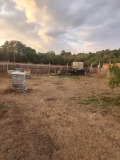 Продава  Парцел град Перник , Църква , 999 кв.м | 93707151 - изображение [6]