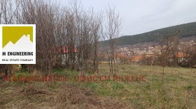 ������ ������� ������