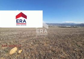 ������ ������� ������