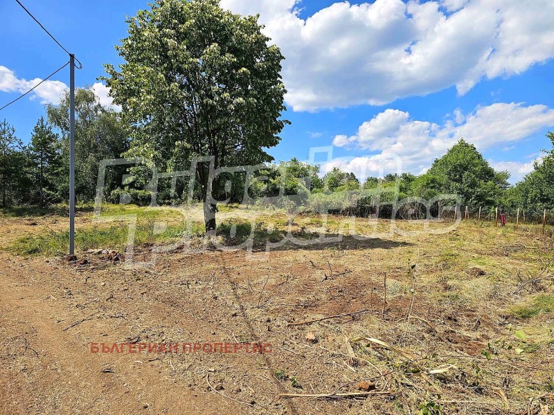 For Sale  Plot region Sofia , Gradets , 1001 sq.m | 66656255 - image [3]