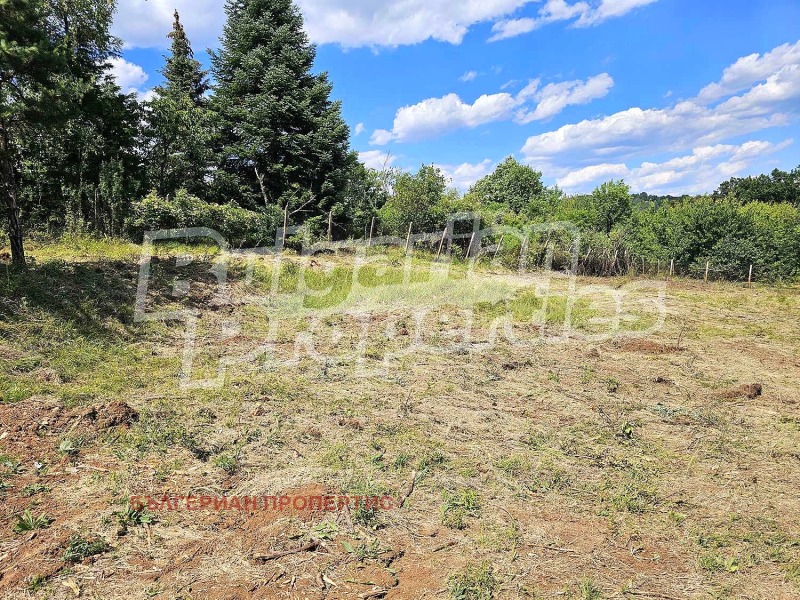 For Sale  Plot region Sofia , Gradets , 1001 sq.m | 66656255 - image [4]