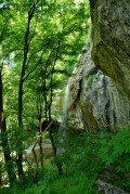 Продава КЪЩА, област Шумен, с. Веселиново • 85000 € • 51987434 — Holmes.bg