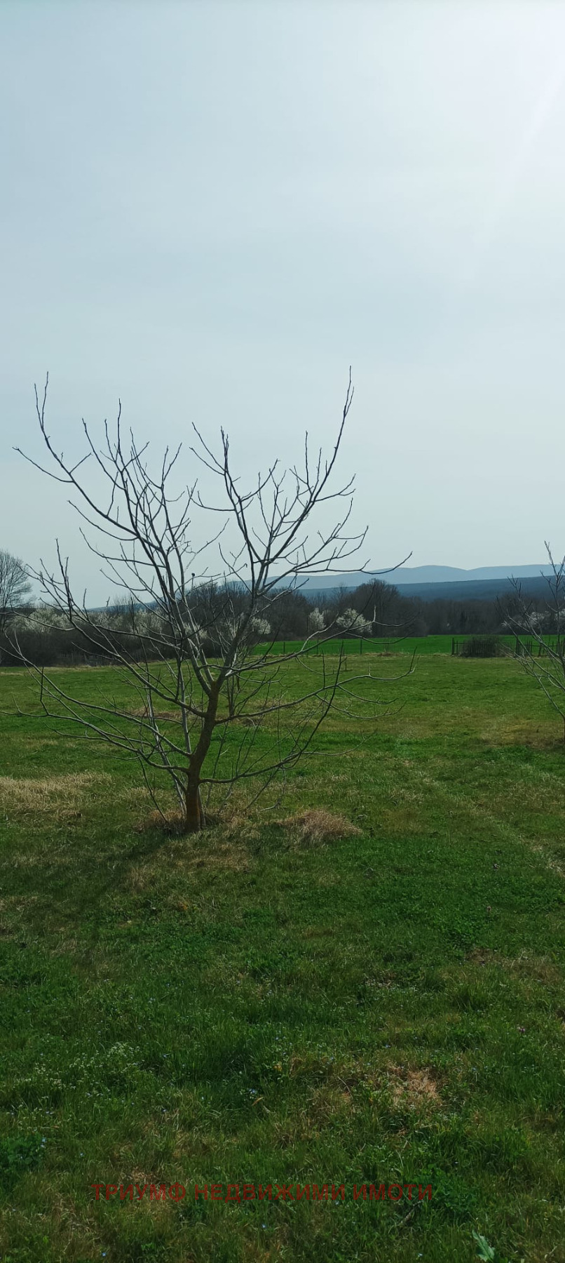 ������� ������ | Imot.bg � ����������� 3