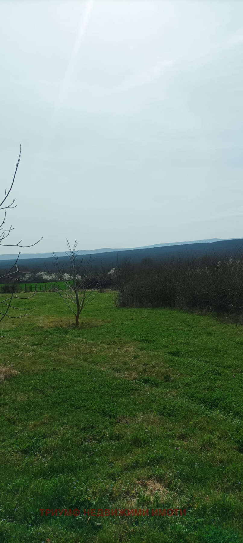������� ������ | Imot.bg � ����������� 2