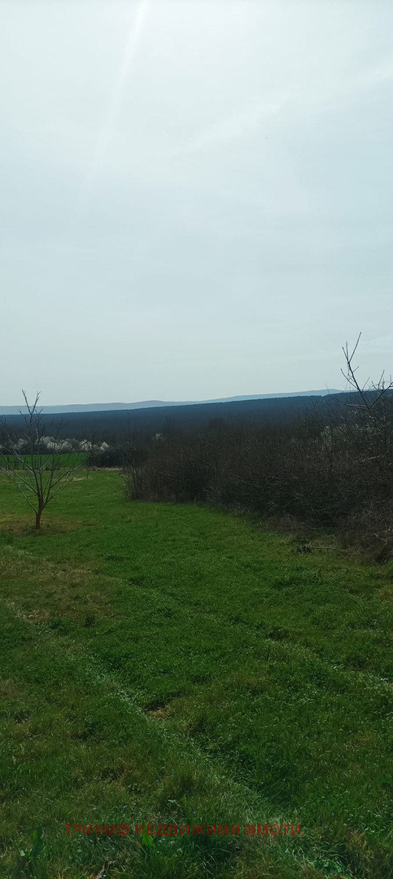 ������� ������ | Imot.bg � ����������� 7
