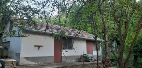 House Koshov, region Ruse 1