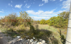 ����� ������� ������,���� �������, ���������� ���� - ��