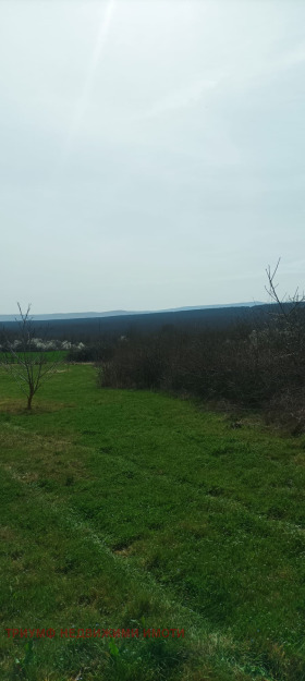 ������� ������ | Imot.bg � ����� ������ 7